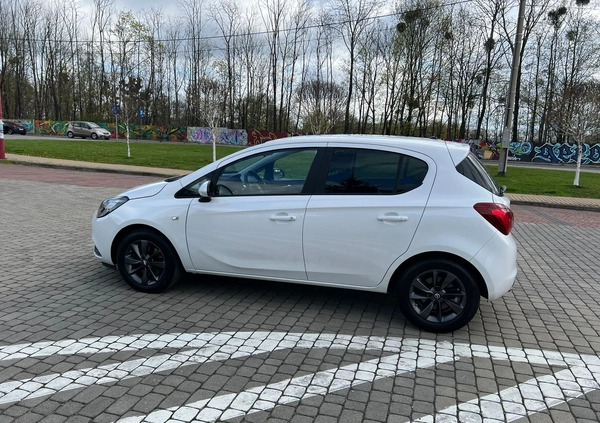 Opel Corsa cena 49900 przebieg: 38300, rok produkcji 2019 z Głuchołazy małe 326